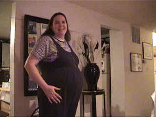 24weeks.jpg (147324 bytes)