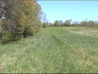 7acres.jpg (154479 bytes)