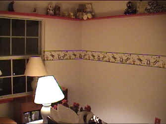 babyroomnopaws.jpg (126932 bytes)