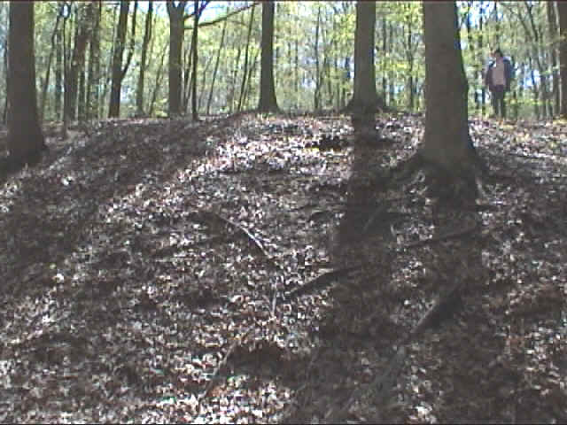 from the pond.jpg (174322 bytes)