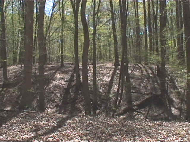 looking acrosss pond to house.jpg (174599 bytes)