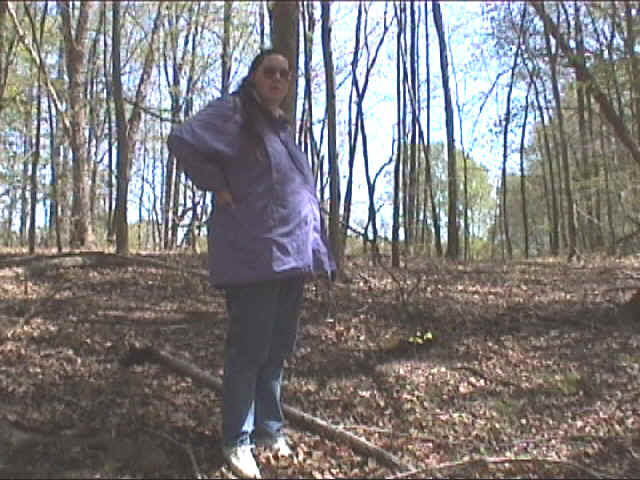 my honeyhill.jpg (183920 bytes)