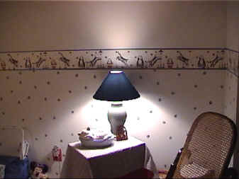 nursery wall.jpg (119125 bytes)
