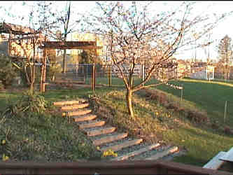 swinginspring.jpg (200513 bytes)