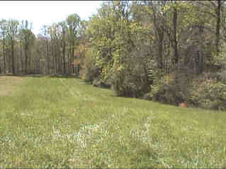 top of field.jpg (171622 bytes)